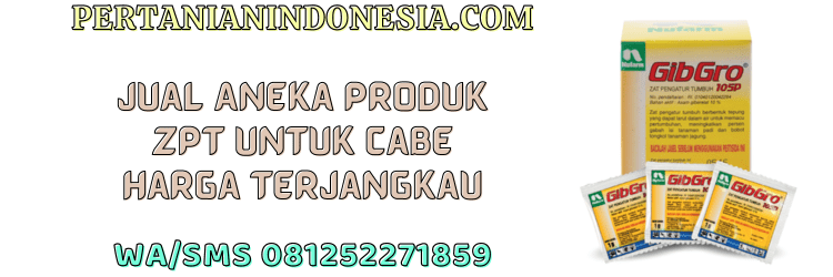 jual,murah,terjangkau,toko pertanian terdekat,pertanian indonesia